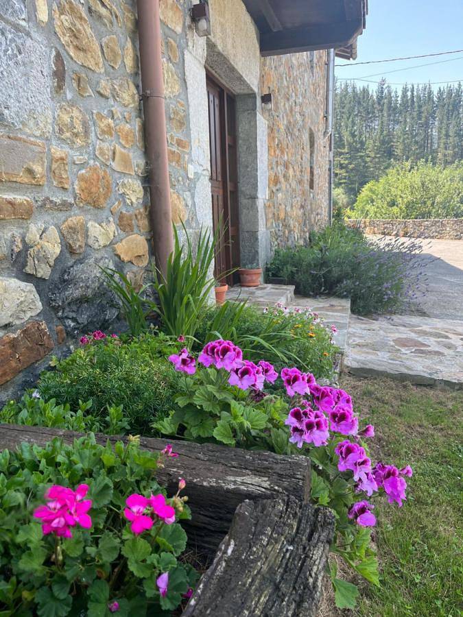 Casa rural para 8 personas, con jardín y vistas en Vizcaya - 4