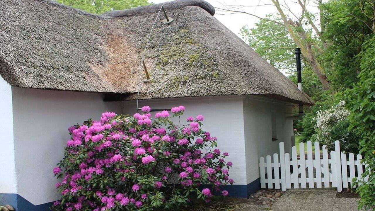 Ferienhaus für 4 Personen (50 m²) in Goting in Goting, Föhr