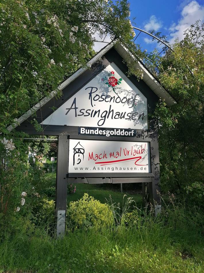 Ganze Wohnung, Ferienwohnung „Olsberg“ mit Bergblick, privater Terrasse und Wlan in Assinghausen, Olsberg