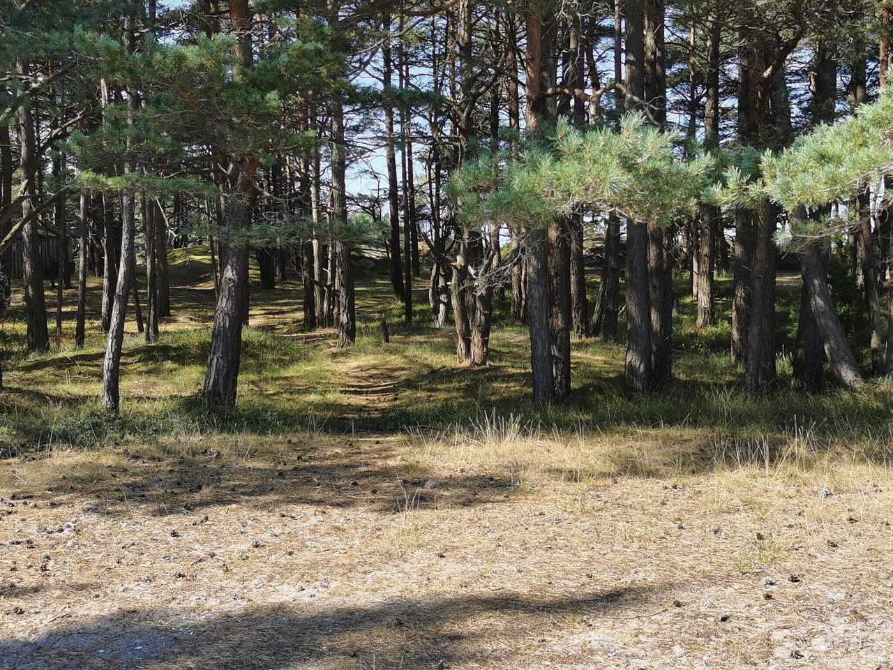 Havscharm i Flaton Retreat in Orust