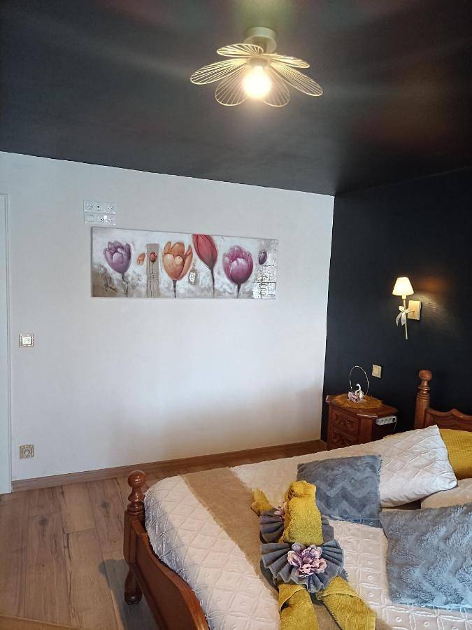 Chambre d’hôte pour 2 personnes, avec jardin et terrasse à Folkling - 4