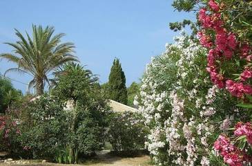 Bungalow für 4 Personen in Modica, Ragusa Provinz, Bild 1