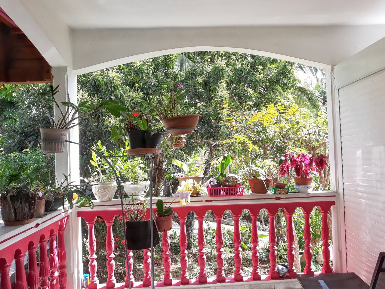Apartamento entero, Apartamento luminoso en Les Abymes, 56 m², terraza y parking in Les Abymes, Guadalupe