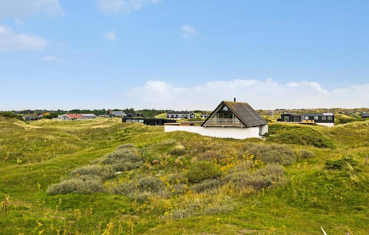 Ferienhaus mit Meerblick für 5 Personen, mit Terrasse und Garten, mit Haustier auf Fanø - 2