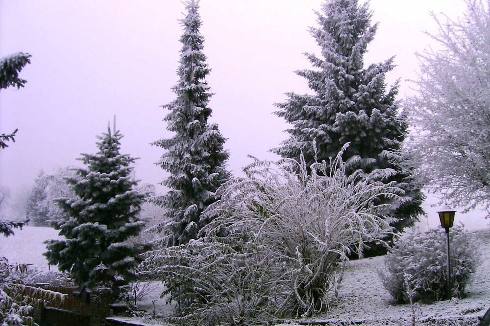 Geheel appartement, Appartement - Appartement in Haidach in Salzkammergut Mountains, Seewalchen am Attersee