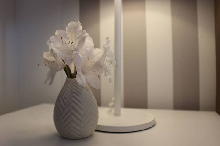 Ferienwohnung für 2 Personen, mit Terrasse und Garten in Vadersdorf - 4