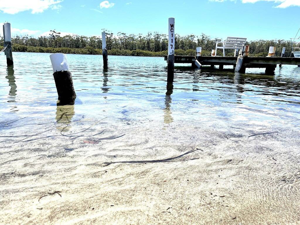 Riverbank Cottage - Waterfront in Sussex Inlet, New South Wales