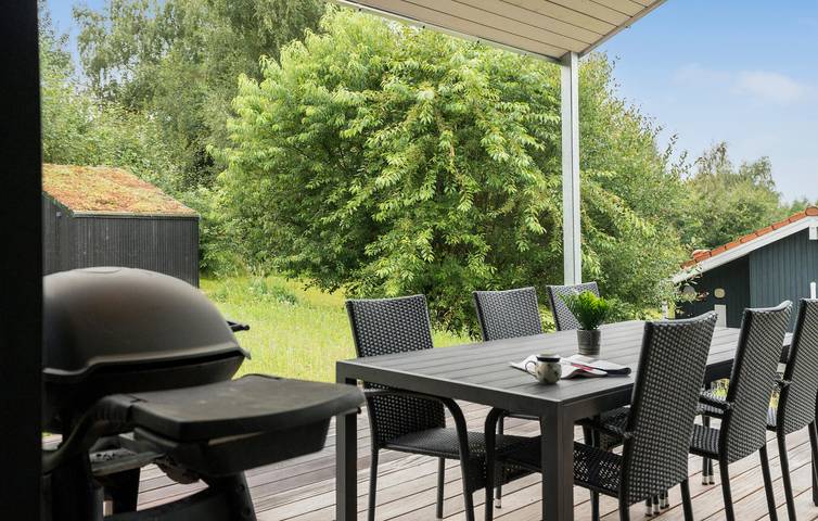 Ferienhaus für 6 Personen mit Terrasse in Silkeborg