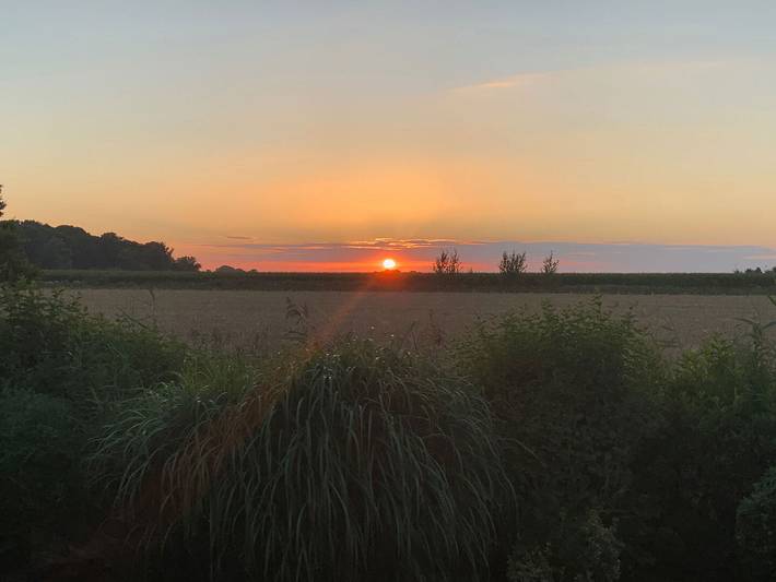 Ferienhaus für 2 Personen, mit Terrasse und Garten in Wangerland - 4