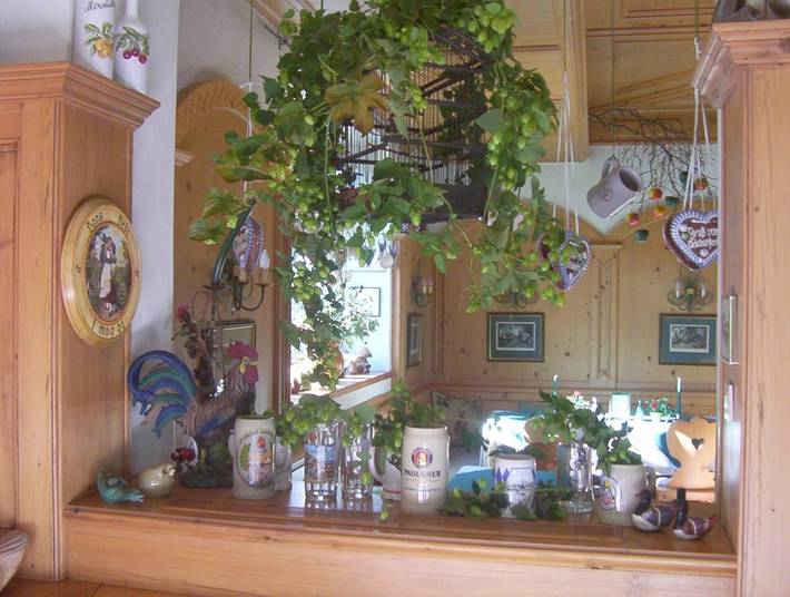 BnB für 3 Personen, mit Terrasse und Ausblick in Grainau - 3