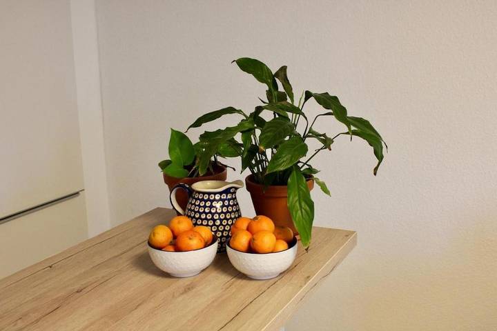 Ferienwohnung für 2 Personen, mit Balkon und Terrasse sowie Garten und Ausblick in Leinfelden-Echterdingen - 3
