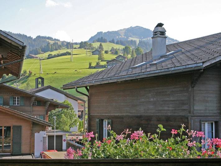 Ganze Wohnung, Pfander in Saanenmöser, Zweisimmen