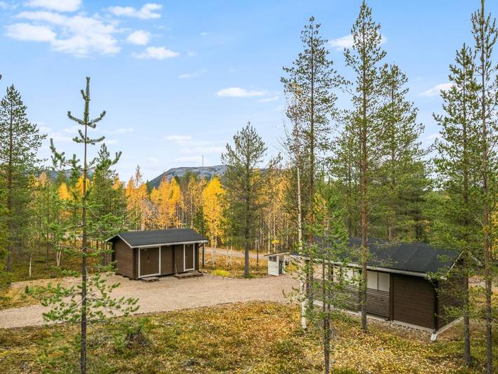 Kuukkeli in Lappland