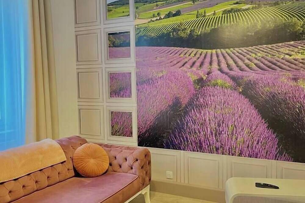 Entire apartment, The world of Provence in the heart of Mulhouse in Mulhouse, Mulhouse region