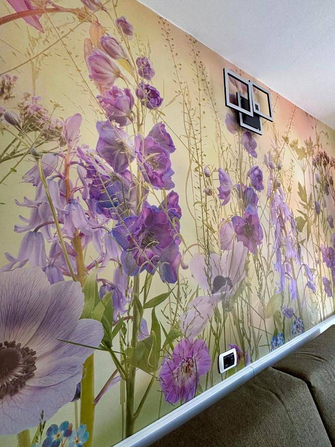 Residenza Pesce D'Oro in Verbania, Comune di Verbania