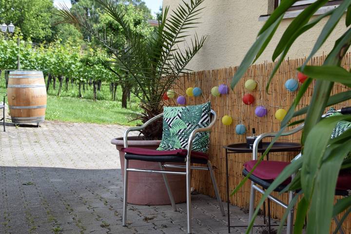 Ganze Ferienwohnung, Ferienhof Mecking - Ferienwohnung, 38qm, 1 Schlafzimmer, 1 Wohn-/ Schlafzimmer, max. 4 Personen in Hagnau am Bodensee, Region Bodensee-Oberschwaben