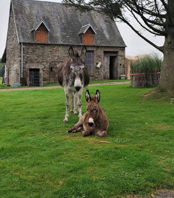 Camping pour 2 personnes, avec jardin et vue, animaux acceptés