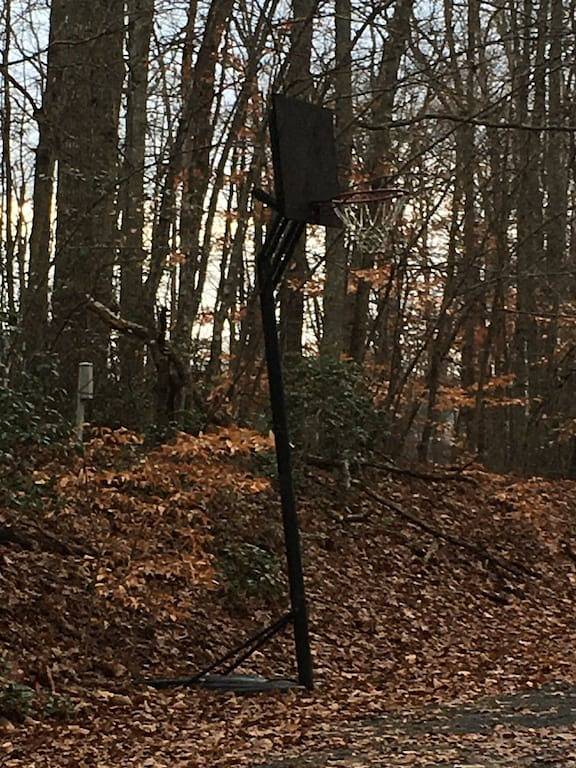Gemütliche ruhige Hütte @ Lake Anna in Lake Anna