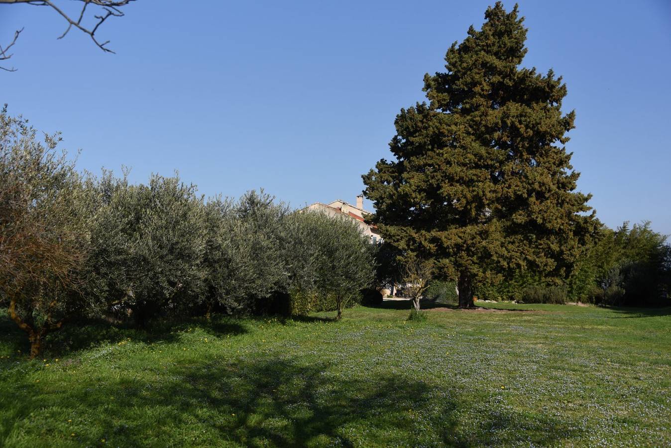 Mas Gardane - Chambres d'hôtes - Chambre 3 in Pernes-les-Fontaines, Vaucluse