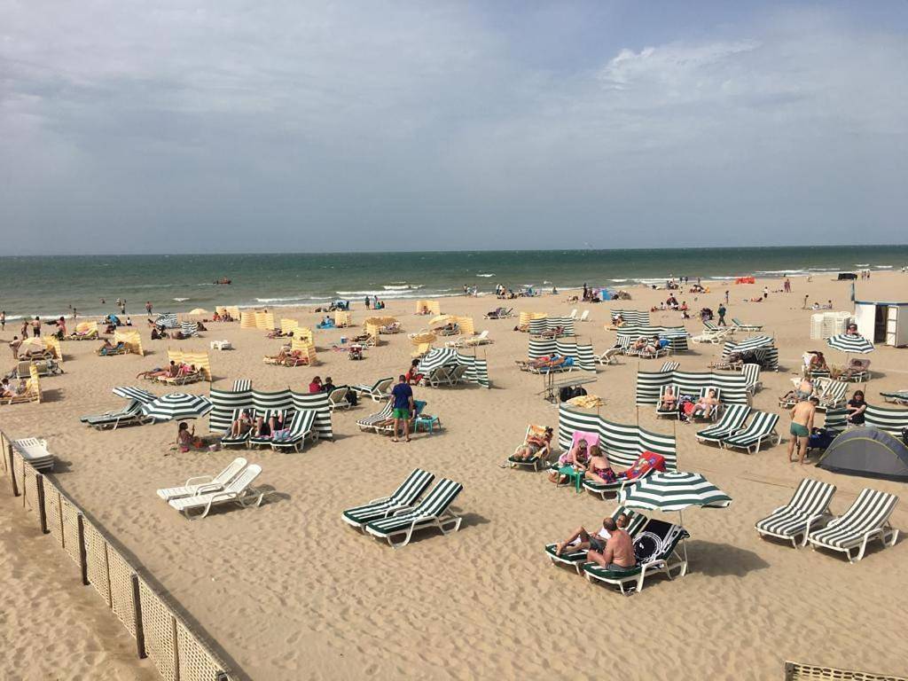 Ganze Wohnung, Appartement vue sur mer - Splendide localisation! in Koksijde-Bad, Koksijde