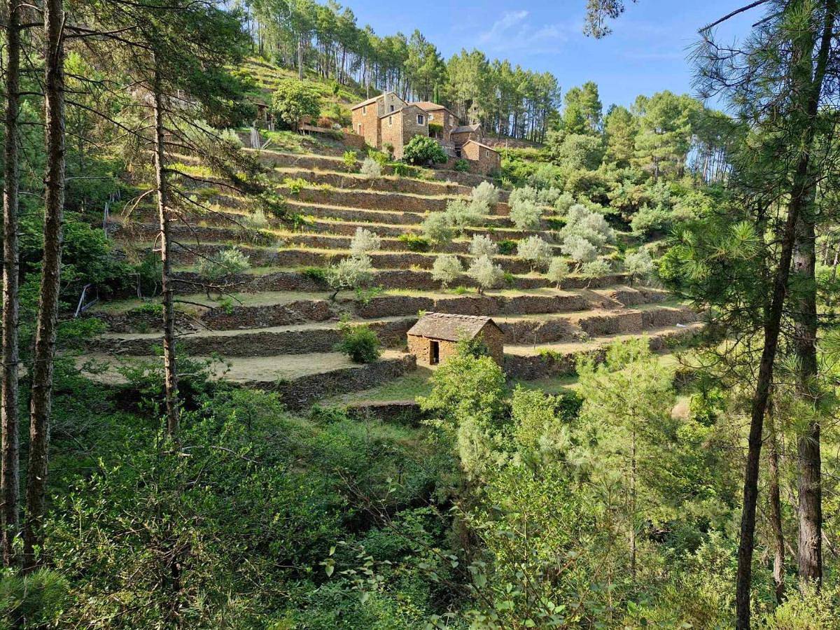 Les Combres, gîte tout confort, climatisé, full équipé avec piscine chauffée in Malbosc, Parc naturel régional des Monts d'Ardèche