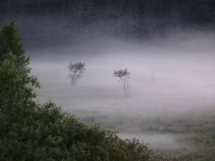 Ferienhaus für 2 Personen, mit Balkon und Garten in Landkreis Freyung-Grafenau - 4