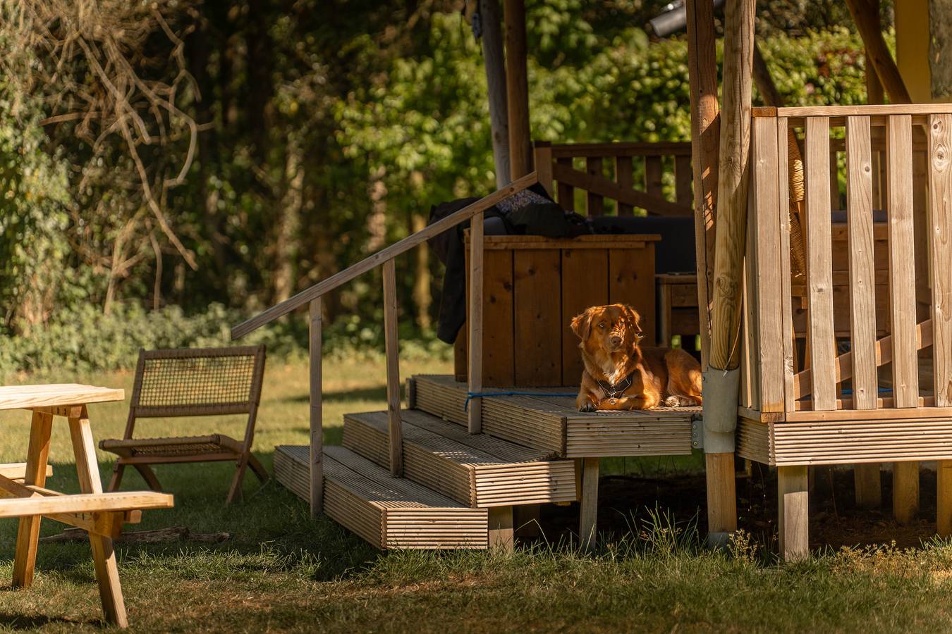 Gooise Heide — The Forest Escape | 5 Pers. | Heater & Hottub  in Huizen, Noord-Holland