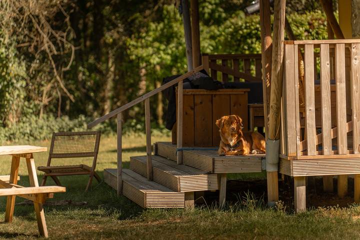 Vakantiehuis voor 5 personen in Baarn