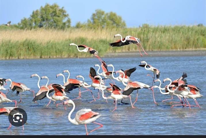 Bateau pour 3 personnes, avec vue et terrasse dans le Gard - 2
