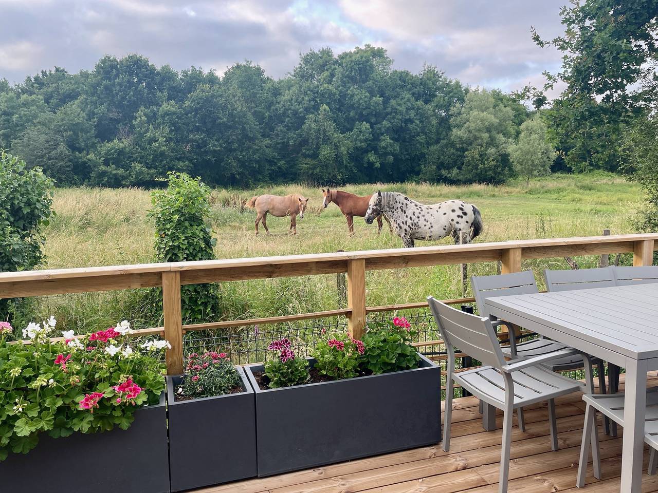 Modern and cosy ecolodge, shared heated pool, Les Mathes in Les Mathes, Côte de Beauté