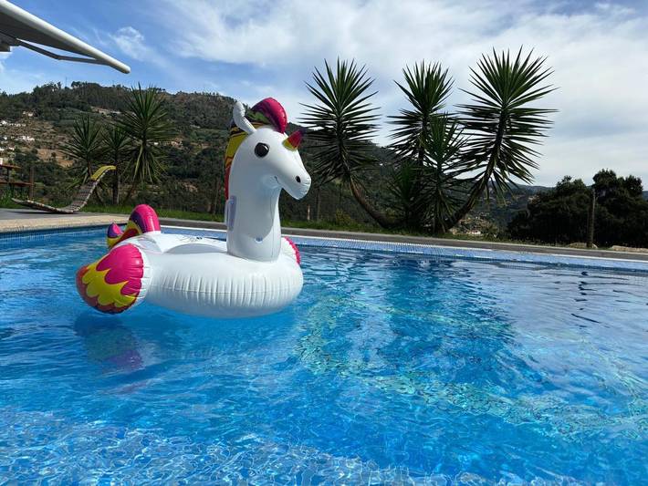 Villa para 11 pessoas, com Varanda e Terraço e ainda Jardim and Piscina infantil em Município de Cinfães