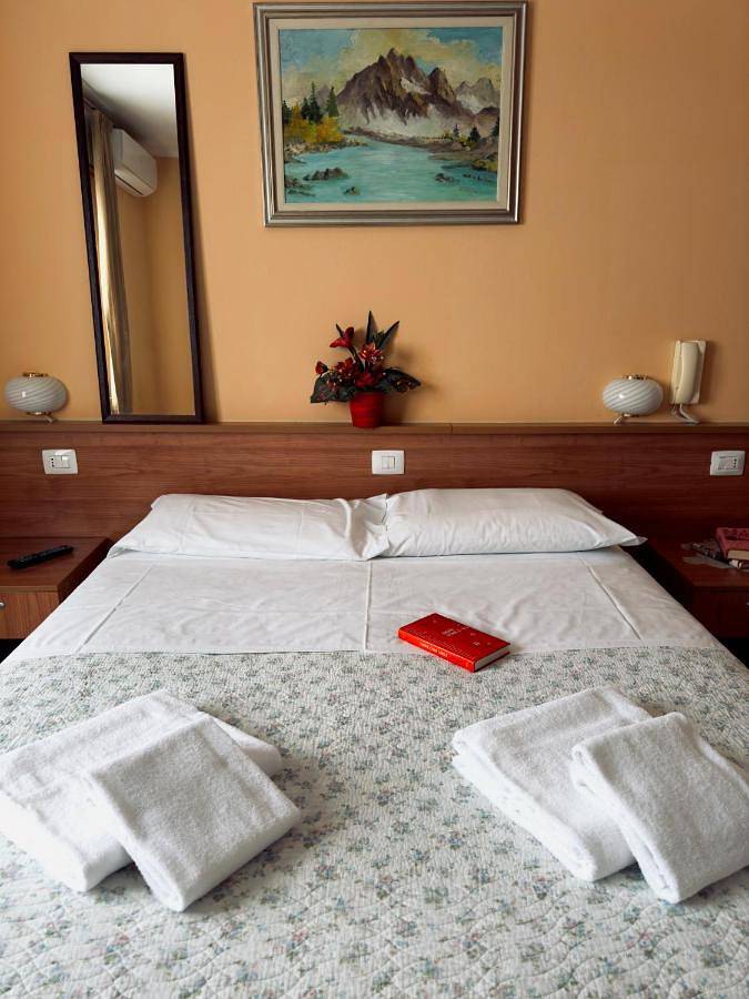 Hotel per 1 persone, con animali domestici - 1