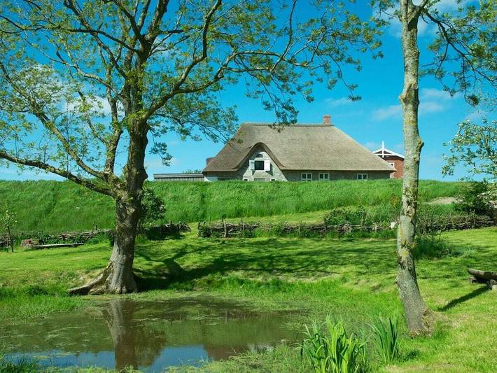 Ferienhaus für 5 Personen, mit Terrasse und Garten sowie Sauna in Wasserkoog