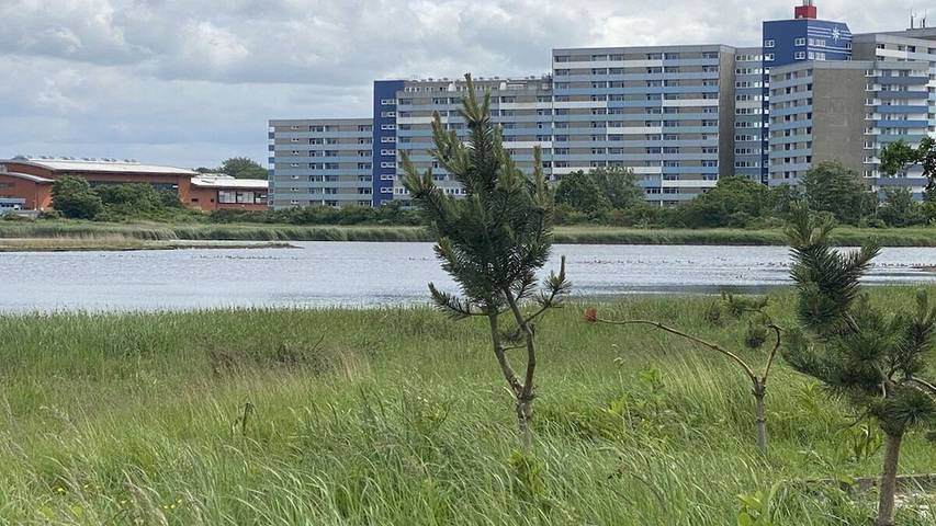 Strandhaus für 2 Personen, mit Balkon in Heiligenhafen - 4