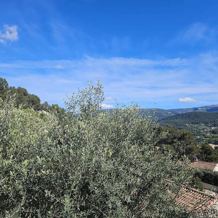 Gîte pour 2 personnes, avec piscine ainsi que vue et jardin à Auriol - 3