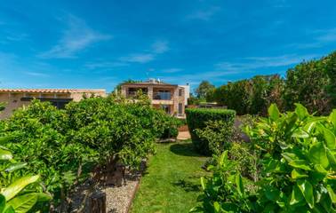 Finca in Manacor, Mallorca Osten für 4 