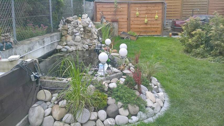 Gîte pour 6 personnes, avec jardin à Dornbirn - 3