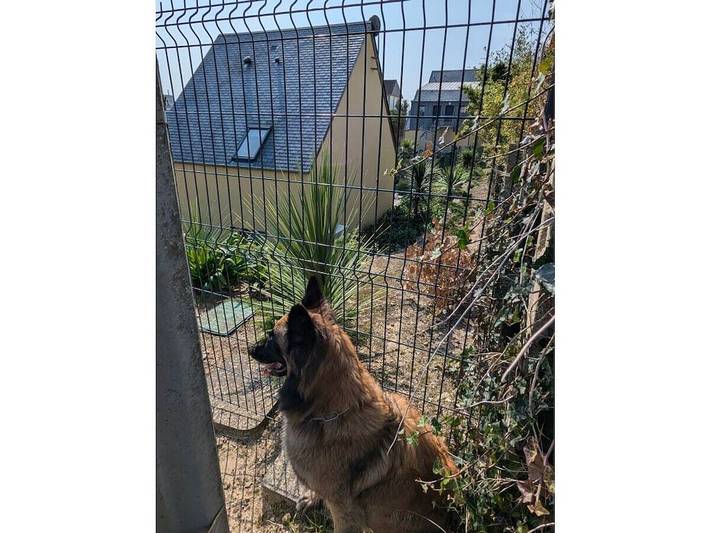 Ferienhaus "Bambi" in Barneville-Carteret, Côte de la Déroute
