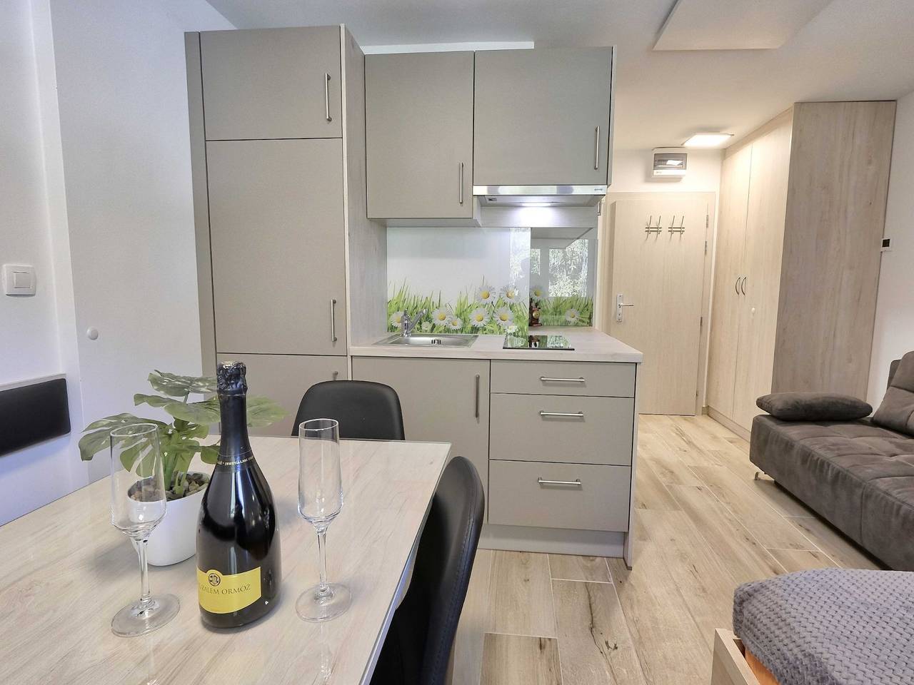 Entire apartment, Cozy and Chic Apartment in Kranjska Gora - Studio Apartment in Kranjska Gora, Triglav National Park