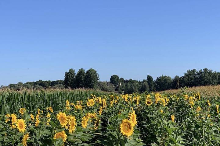 Location de vacances pour 10 personnes, avec jardin à Barie