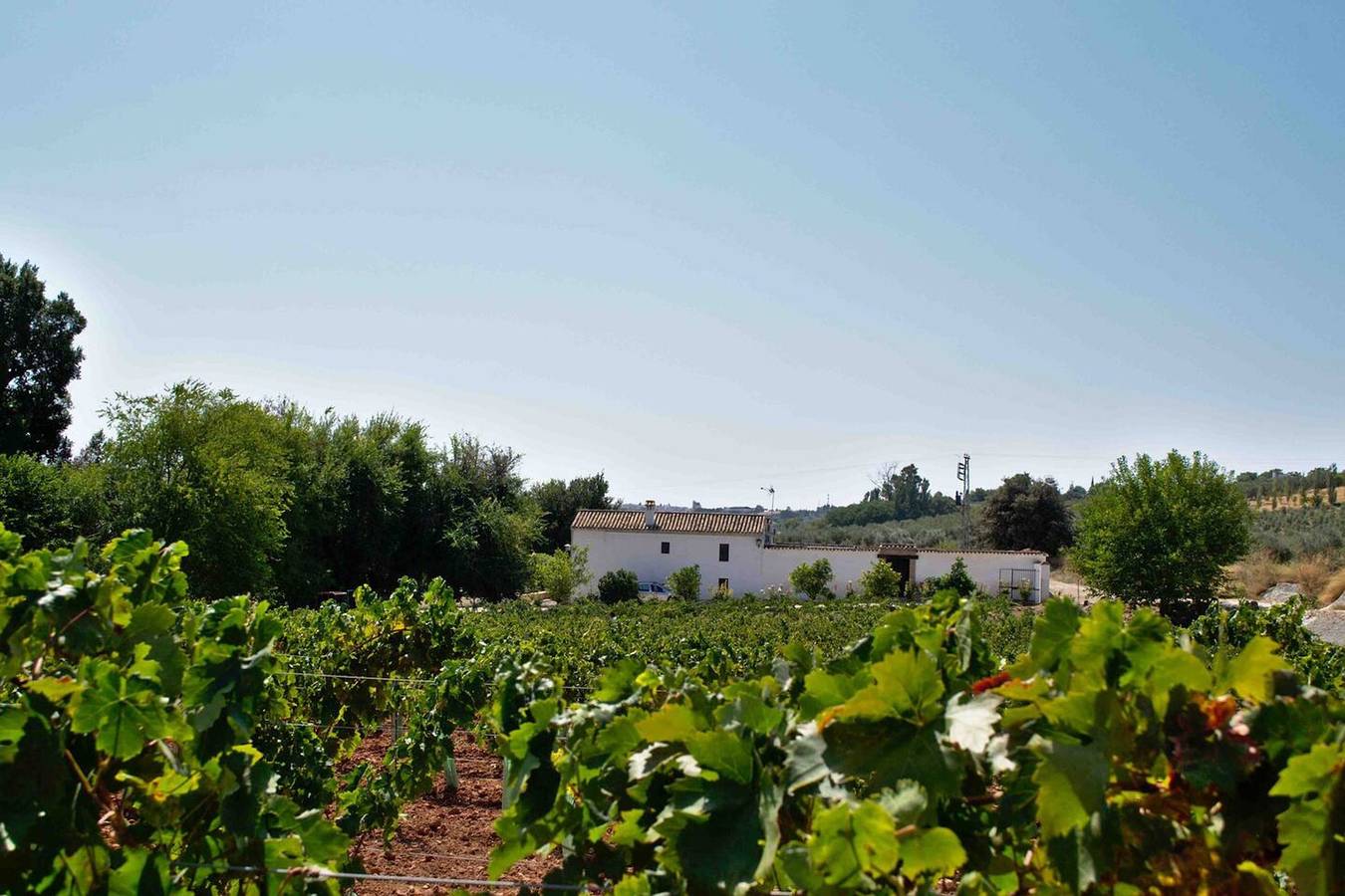 Villa élégante au cœur de Montilla avec piscine privée in Montilla, Province de Córdoba