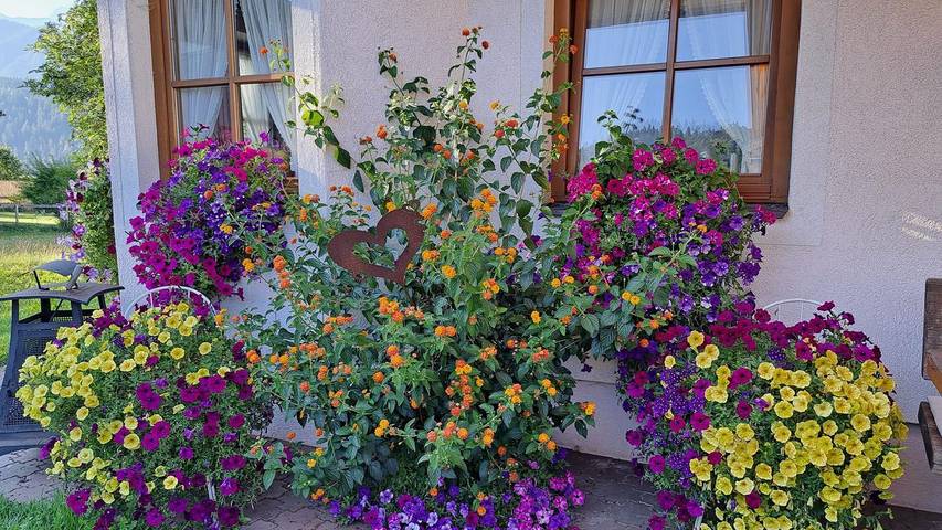 Ferienwohnung für 2 Personen, mit Sauna und Balkon sowie Garten in Schladming-Dachstein - 2