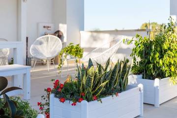 Casa Vacanza per 11 Persone in Cutrofiano, Salento, Foto 3