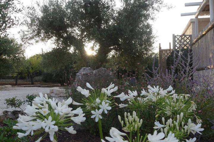 Trullo manivida Mulberry in Locorotondo, Province de Bari