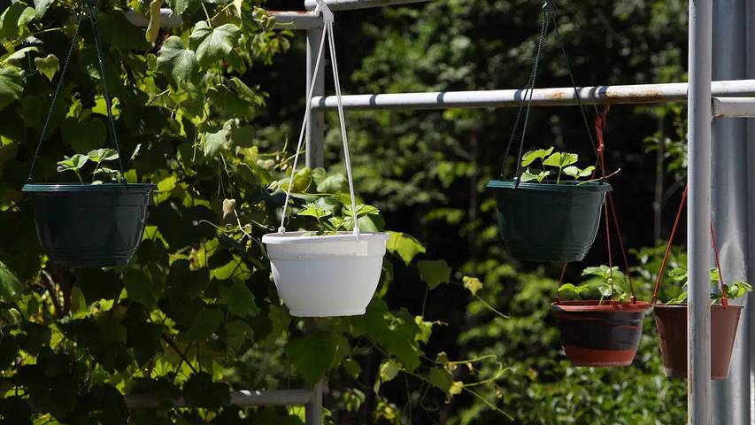 Gîte pour 7 personnes dans Poljanak