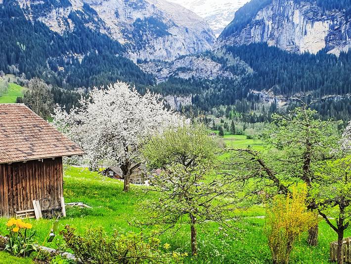 Ganze Wohnung, Chessibach 2-Zi-Whg in Schwendi b. Grindelwald, Grindelwald