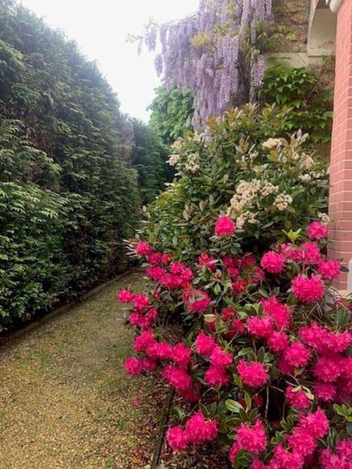 Location de vacances pour 4 personnes, avec jardin et piscine à Bois-le-Roi - 2