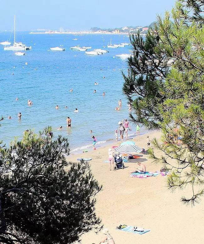 Camping pour 4 personnes, avec terrasse et piscine, animaux acceptés à La Londe-les-Maures