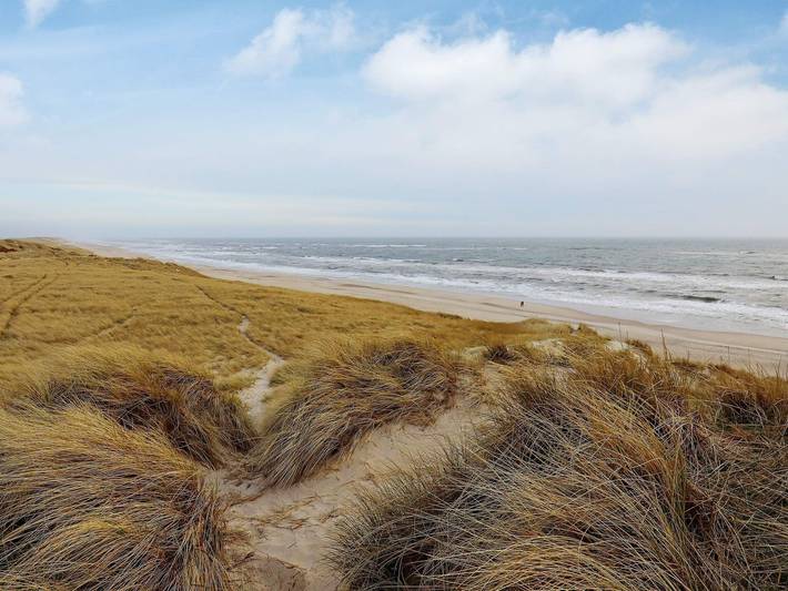 Ferienhaus für 5 Personen, mit Terrasse am Ringkøbing Fjord