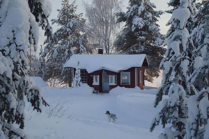 Chalet pour 4 personnes, avec jacuzzi ainsi que jardin et sauna